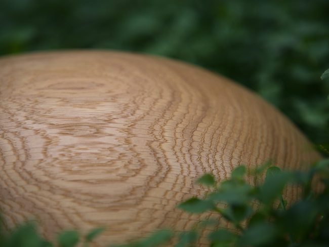 Bowl_Eiche_Brownoak_2_web