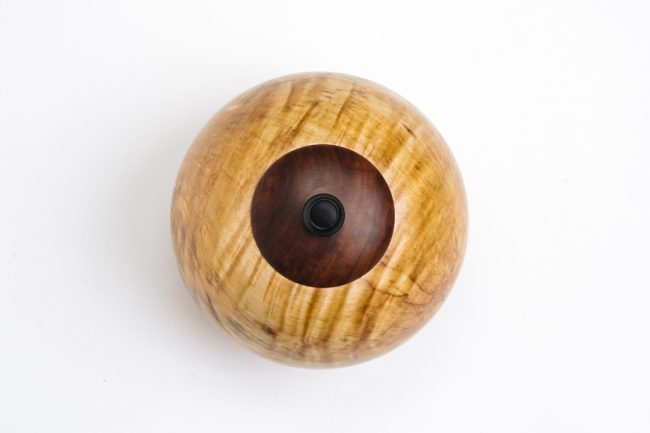 Dose_Bergahorn-lotrecht