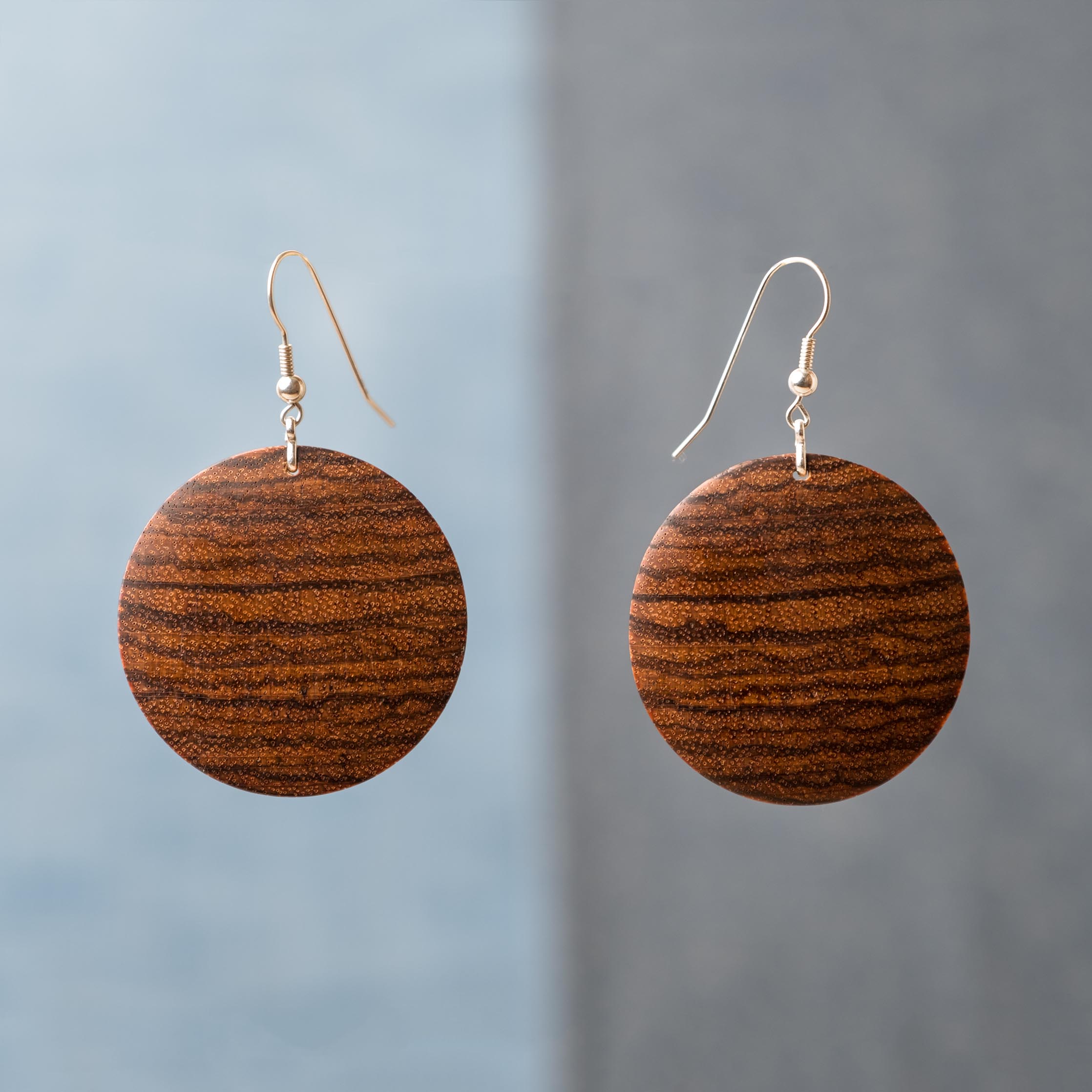 Ohrhänger_Microberlinia_Hintergrund2