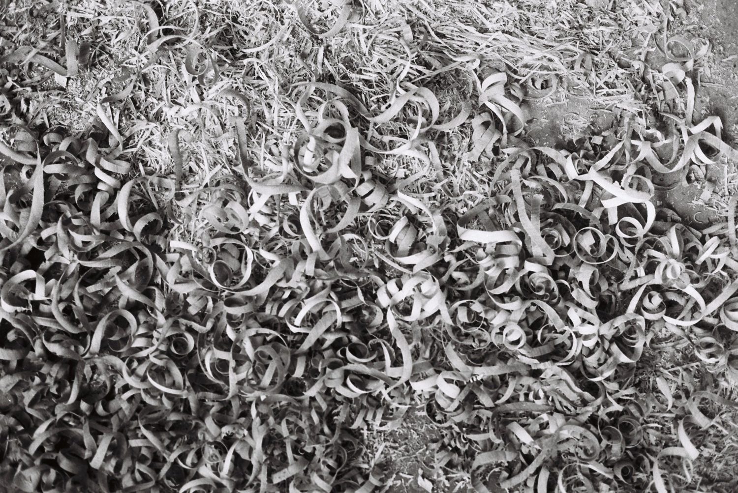 raoul_werkstatt_hw_november2023_web-4